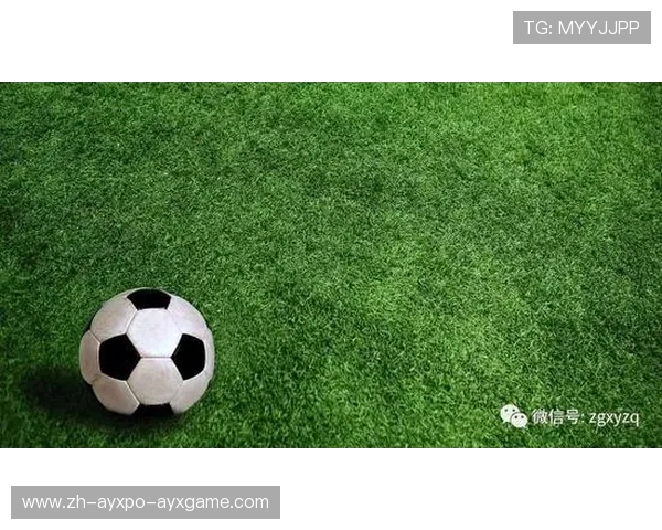 韩国留洋德甲的足球队员有哪些？发展路径分析