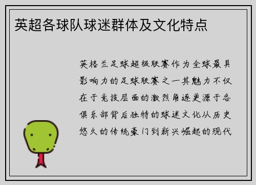 英超各球队球迷群体及文化特点