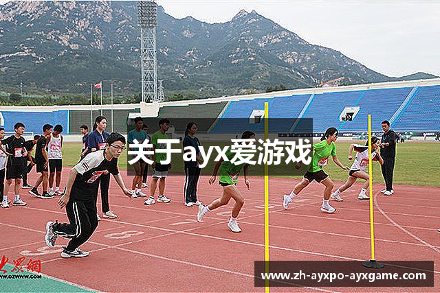 关于ayx爱游戏